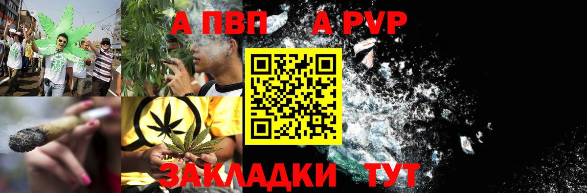 Альфа ПВП СК КРИС Шахты