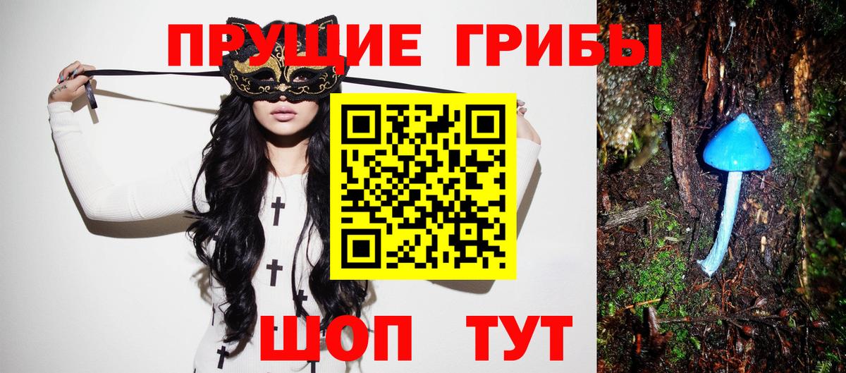 Псилоцибиновые грибы мухоморы Шахты