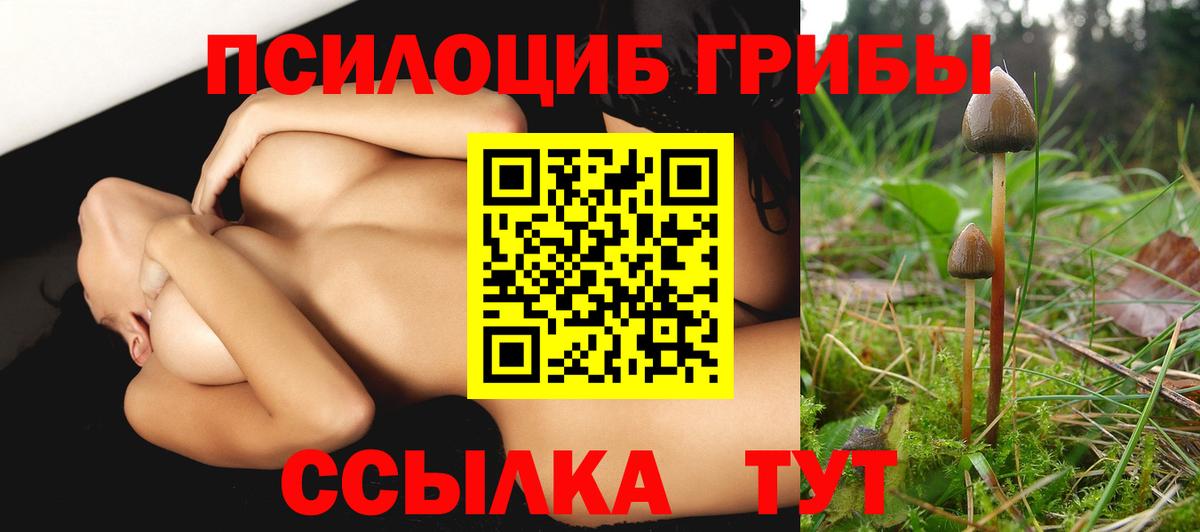купить наркотики цена  Вход с VPN  Шахты  Галлюциногенные грибы Psilocybe 
