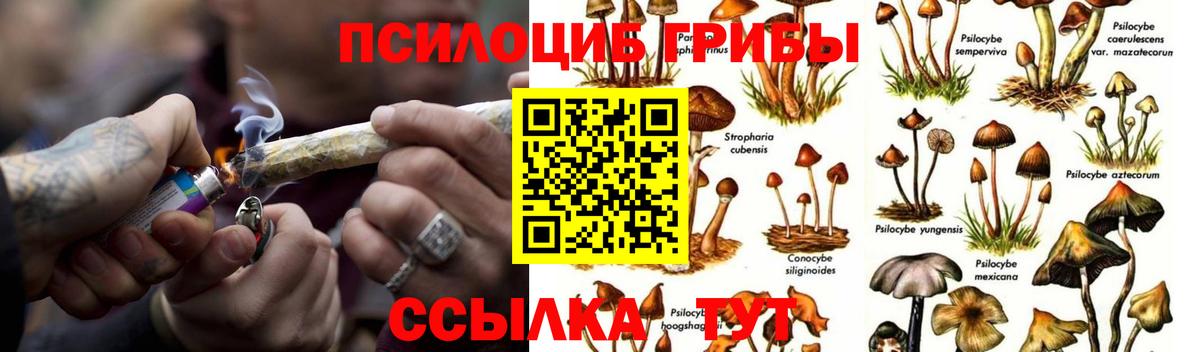 Меф Шахты